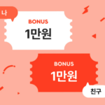 샵백(Shopback) 추천인 혜택 200% 활용법 vpn surfshark nordvpn